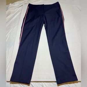 Navy Pants with Pink Stripes